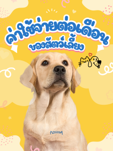 ค่าใช้จ่ายในการเลี้ยงสัตว์เลี้ยงต่อเดือน มีค่าอะไรบ้าง?